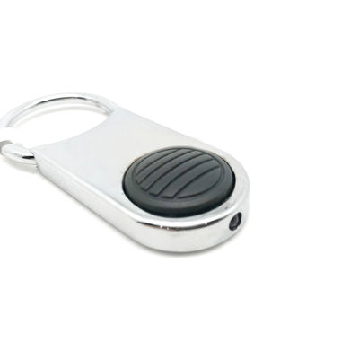 Πρακτική οργάνωση Χάλυβα Keychain Οργανωτής με προσαρμοσμένο λογότυπο